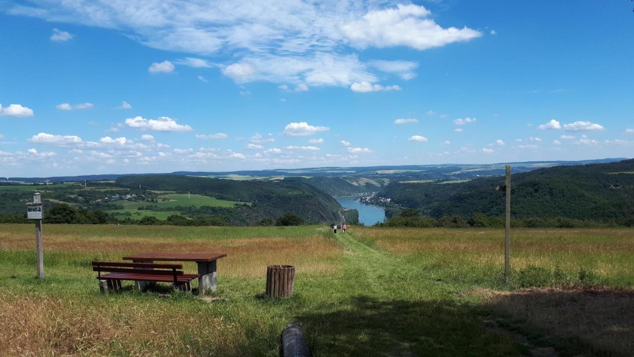 4-Sterne Ferienwohnung Carbach -Perfekt Fuer Radfahrer- Бопард Екстериор снимка